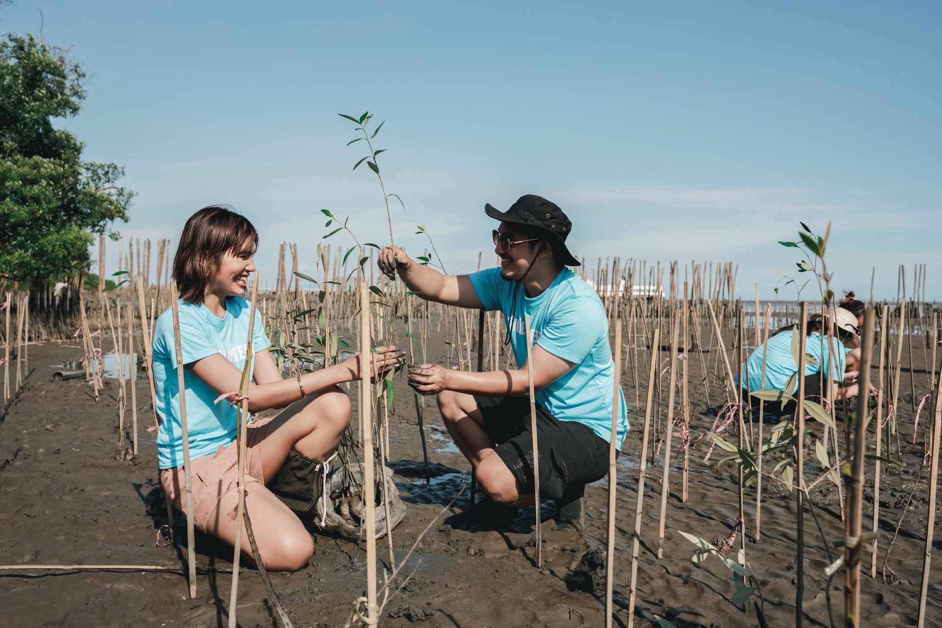 Group of volunteers help plant a forest to save the world in the forest park area.Environmental protection project. People and ecology concept.